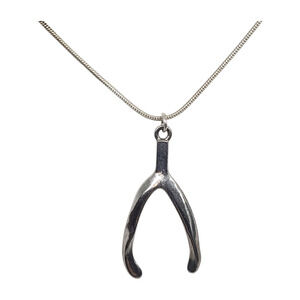 Large Wishbone Pendant Necklace on Snake Chain Minimalist Lucky Charm Jewelry